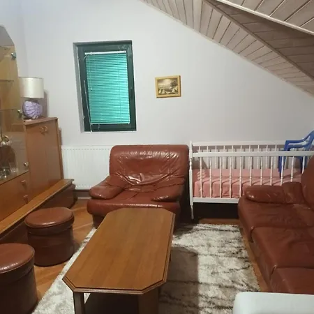 Jelena Vrnjačka Banja